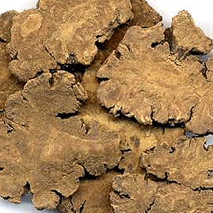 Chuan Xiong - Sichuan Lovage