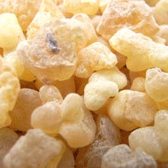 Ru Xiang - Frankincense