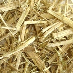 Ci Wu Jia - Eleuthero Root