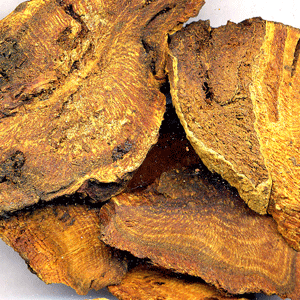 Da Huang - Rhubarb Root