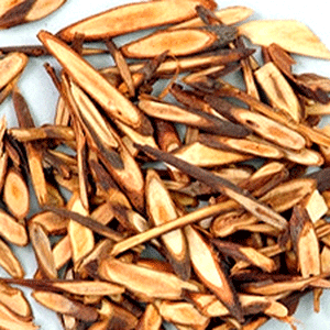 Gui Zhi - Cinnamon Twig