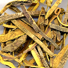 Huang Bai - Amur Cork Bark