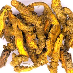 Huang Lian - Goldthread Rhizome